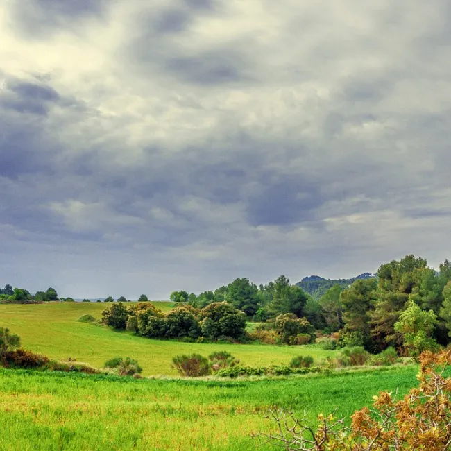 Natuur in volle glorie