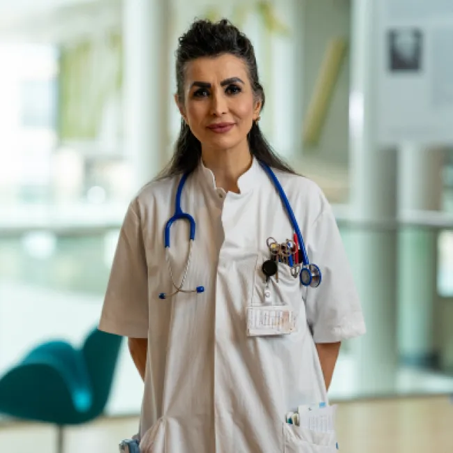 Maatwerk hbo V opleidingen