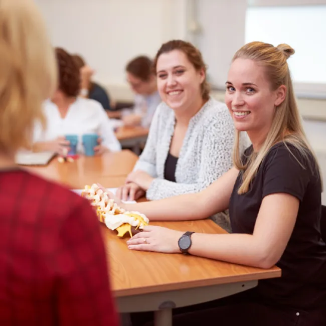 Master Bekkenfysiotherapie