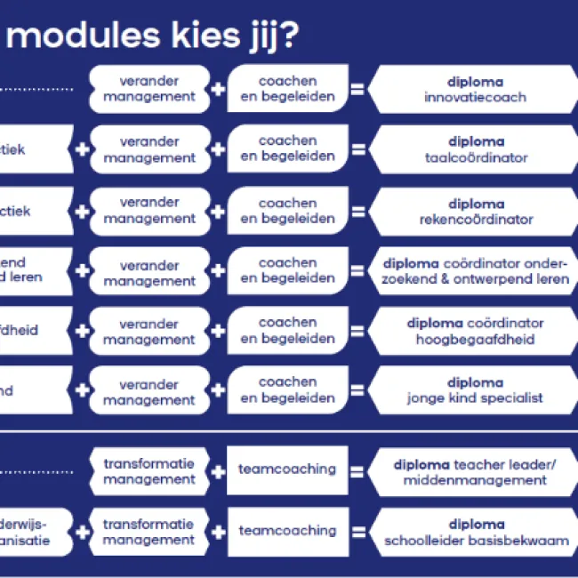 Welke modules kies jij?